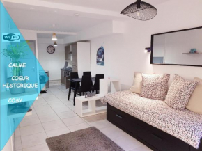 Studio hyper centre, tout confort Lourdes